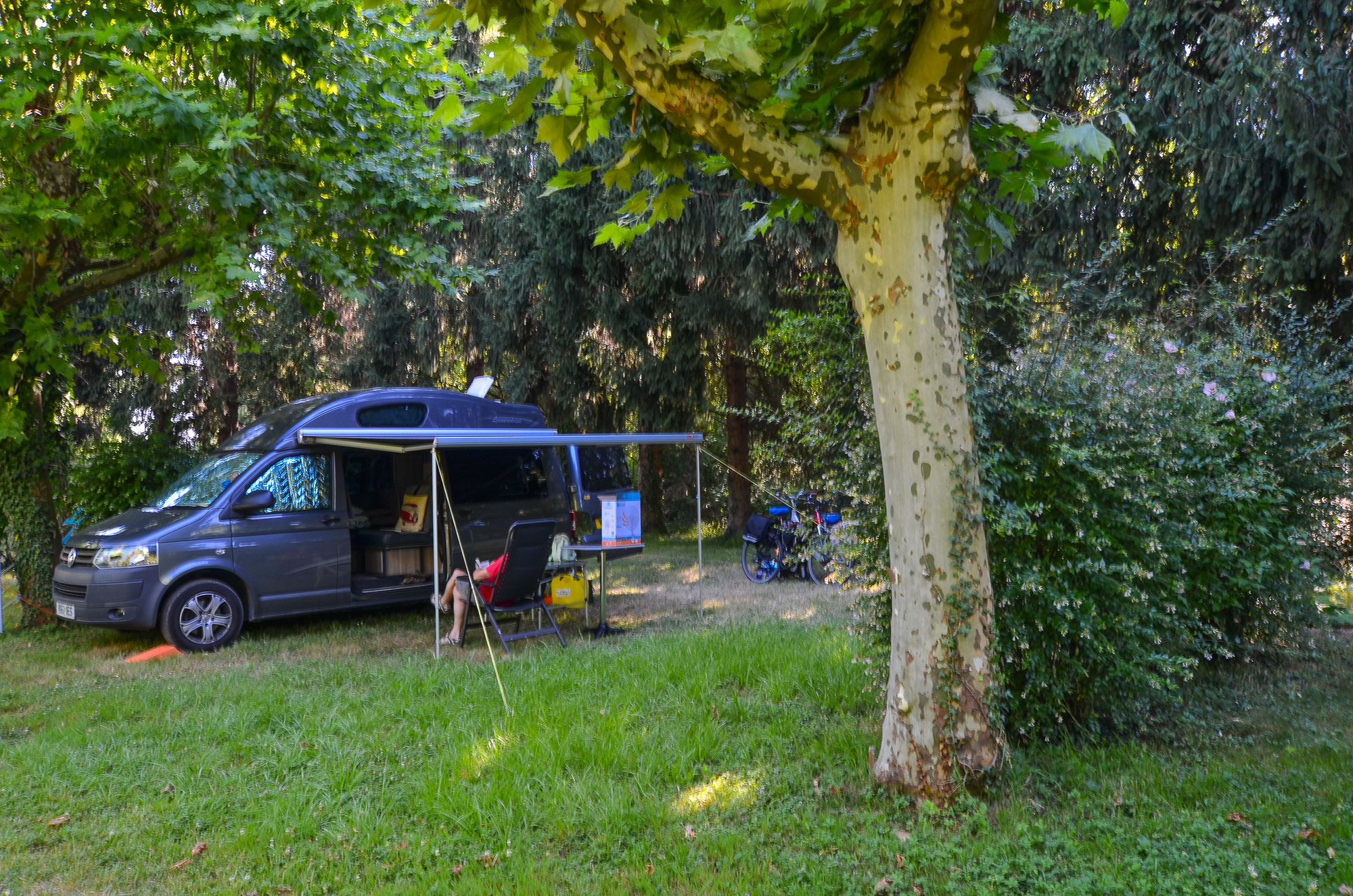Shady pitches at camping Dordogne