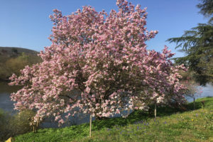 ouverture du camping en Dordogne Le Garrit